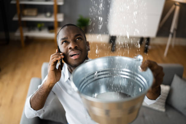 Best Water damage restoration company  in Barron, WI