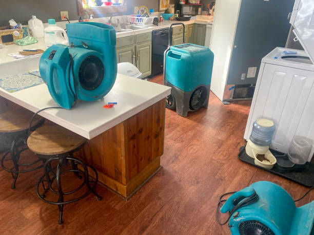 Best Water damage restoration process  in Barron, WI