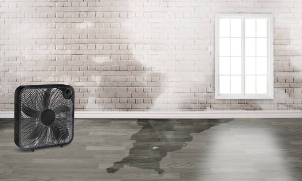Best Local water damage restoration  in Barron, WI